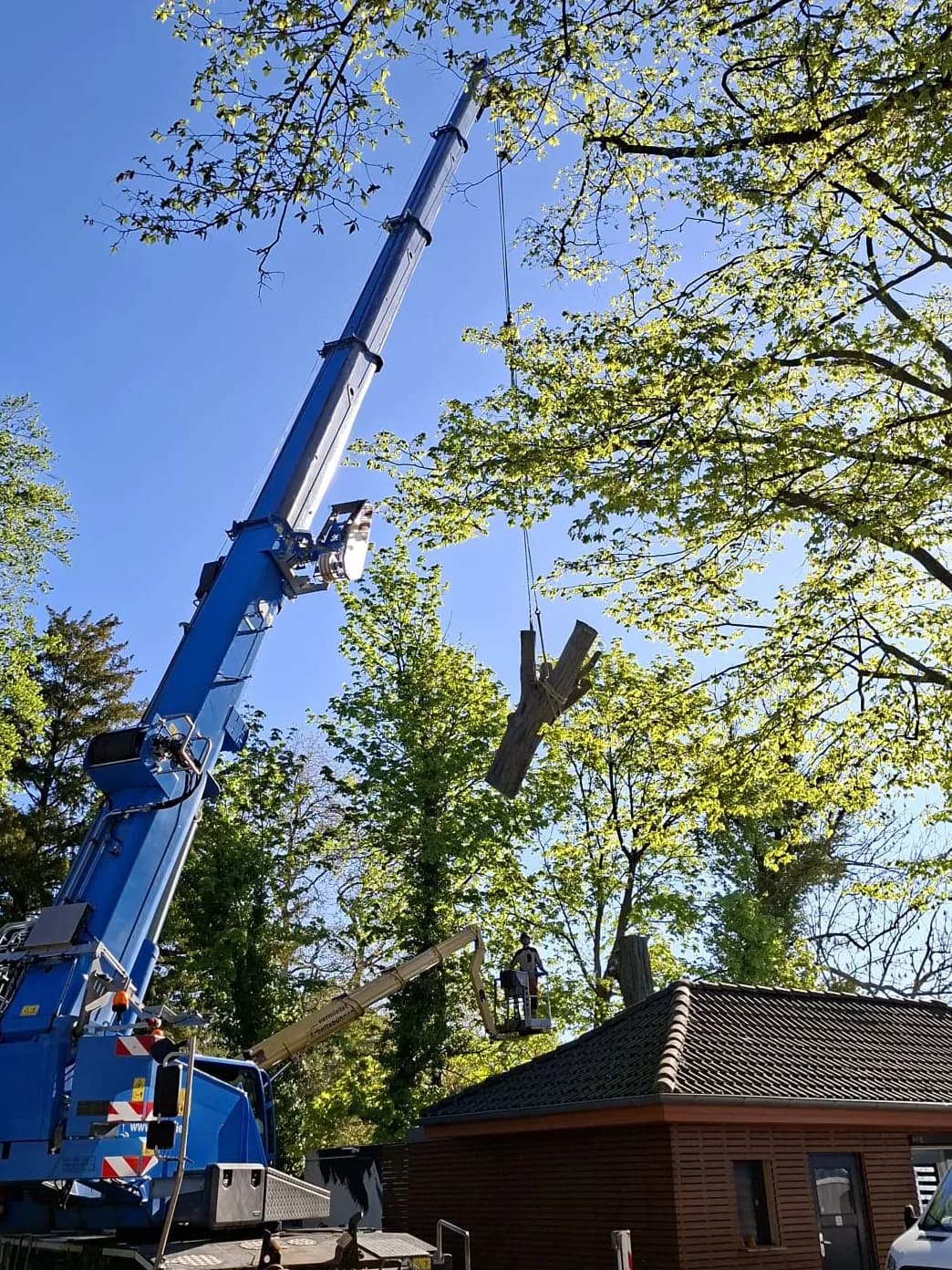 Baumfällung mit Kran, Stammstück am Hebeseil